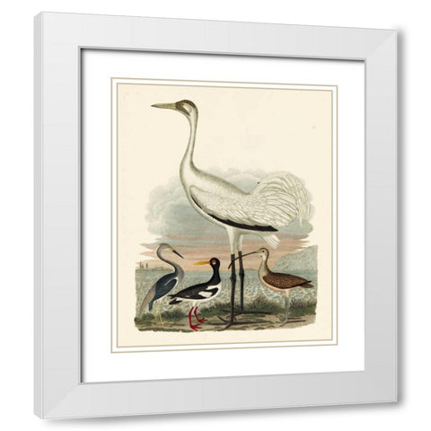 Heron Family III White Modern Wood Framed Art Print with Double Matting by Wilson, A.