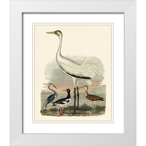 Heron Family III White Modern Wood Framed Art Print with Double Matting by Wilson, A.