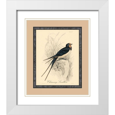 Printed Chimney Swallow White Modern Wood Framed Art Print with Double Matting by Apogee Art Services