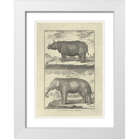 Elephant and Rhino White Modern Wood Framed Art Print with Double Matting by Diderot, Denis