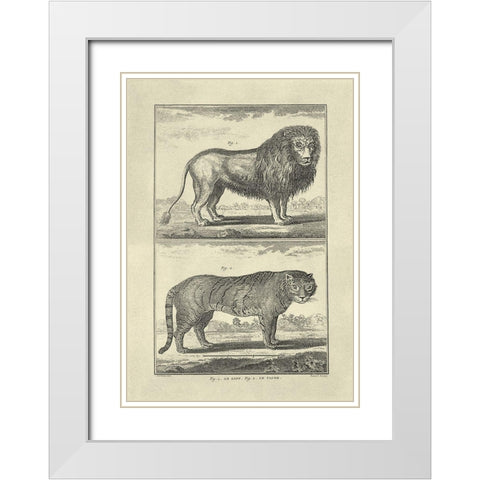 Lion and Tiger White Modern Wood Framed Art Print with Double Matting by Diderot, Denis