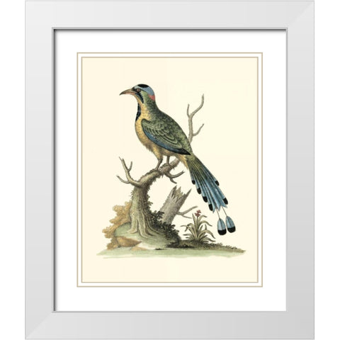 Poised in Nature II White Modern Wood Framed Art Print with Double Matting by Edwards, George