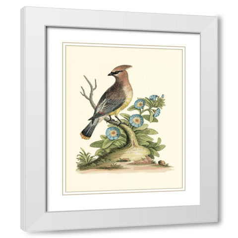Poised in Nature III White Modern Wood Framed Art Print with Double Matting by Edwards, George