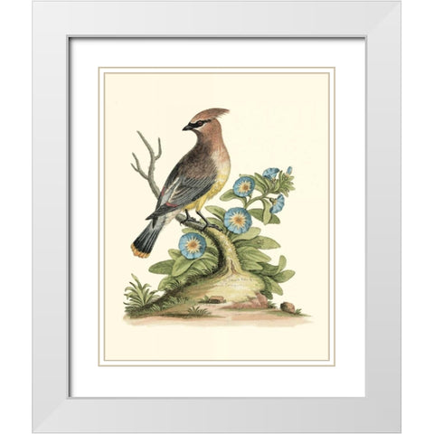Poised in Nature III White Modern Wood Framed Art Print with Double Matting by Edwards, George