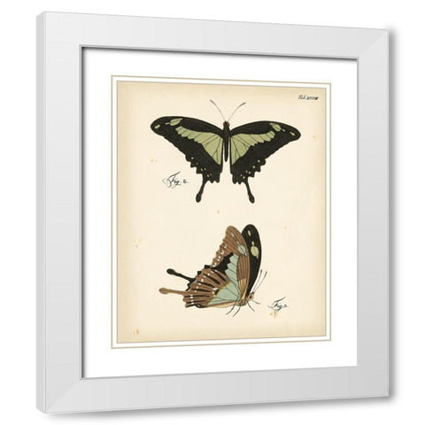 Butterfly Profile III White Modern Wood Framed Art Print with Double Matting by Vision Studio