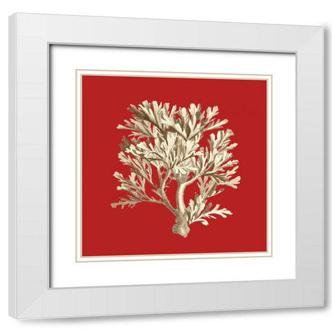 Coral on Red IV White Modern Wood Framed Art Print with Double Matting by Vision Studio