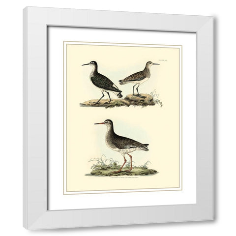Selby Sandpipers II White Modern Wood Framed Art Print with Double Matting by Selby, John
