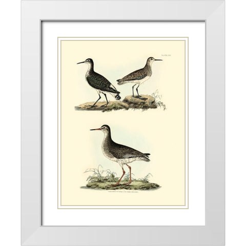 Selby Sandpipers II White Modern Wood Framed Art Print with Double Matting by Selby, John