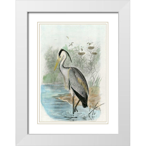 Oversize Common Heron White Modern Wood Framed Art Print with Double Matting by unknown
