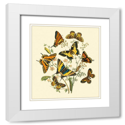 Butterfly Gathering I White Modern Wood Framed Art Print with Double Matting by Vision Studio