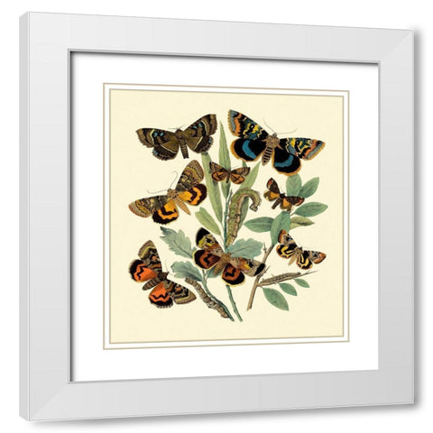 Butterfly Gathering III White Modern Wood Framed Art Print with Double Matting by Vision Studio