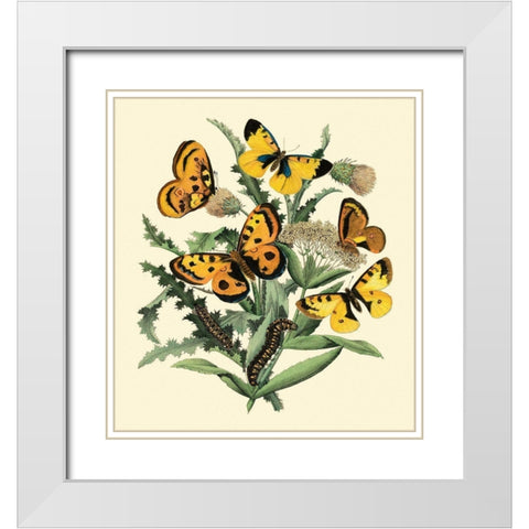 Butterfly Gathering IV White Modern Wood Framed Art Print with Double Matting by Vision Studio