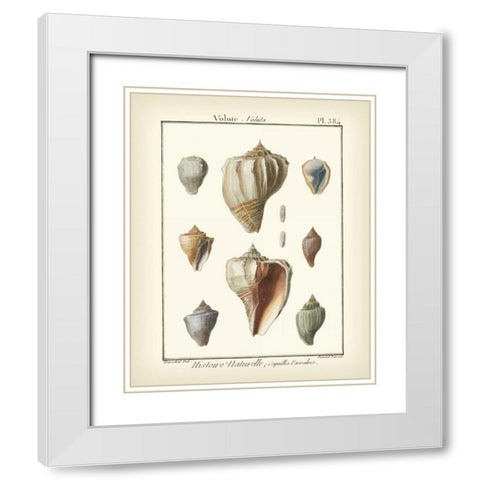 Volute Shells, Pl.384 White Modern Wood Framed Art Print with Double Matting by Diderot, Denis