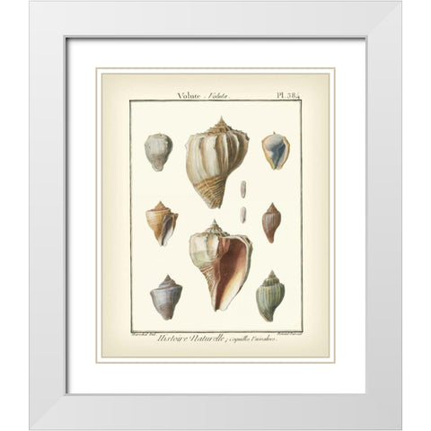Volute Shells, Pl.384 White Modern Wood Framed Art Print with Double Matting by Diderot, Denis