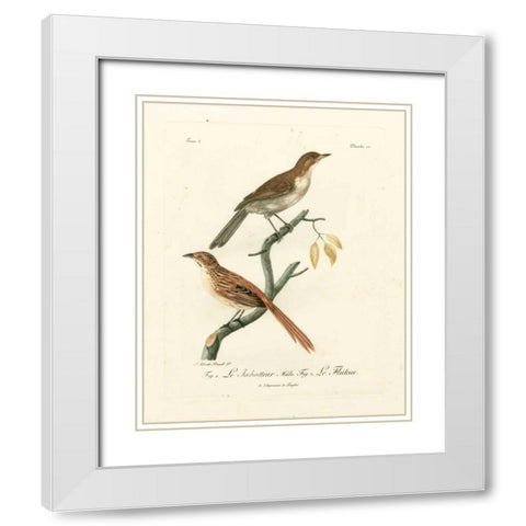 Antique French Birds I White Modern Wood Framed Art Print with Double Matting by de Langlois