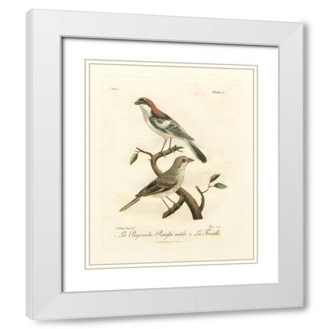 Antique French Birds II White Modern Wood Framed Art Print with Double Matting by de Langlois
