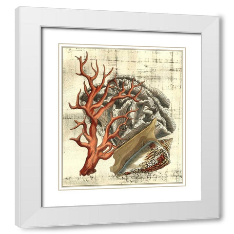 Neptunes Composition II White Modern Wood Framed Art Print with Double Matting by Vision Studio