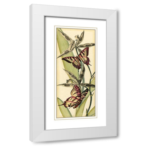 Butterfly Beauty I White Modern Wood Framed Art Print with Double Matting by Vision Studio