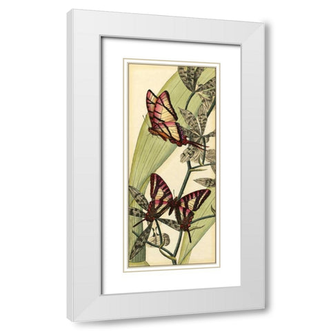 Butterfly Beauty II White Modern Wood Framed Art Print with Double Matting by Vision Studio