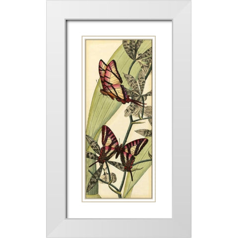 Butterfly Beauty II White Modern Wood Framed Art Print with Double Matting by Vision Studio