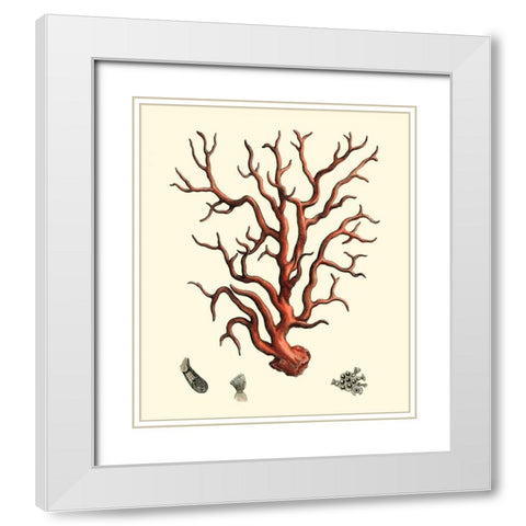 Red Coral I White Modern Wood Framed Art Print with Double Matting by Vision Studio