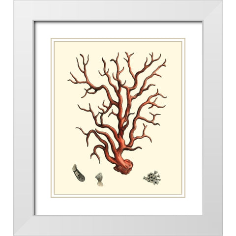 Red Coral I White Modern Wood Framed Art Print with Double Matting by Vision Studio