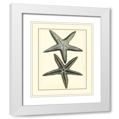 Antique Blue Starfish I White Modern Wood Framed Art Print with Double Matting by Vision Studio