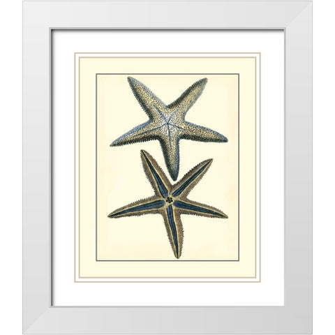 Antique Blue Starfish I White Modern Wood Framed Art Print with Double Matting by Vision Studio