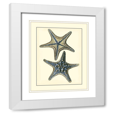 Antique Blue Starfish II White Modern Wood Framed Art Print with Double Matting by Vision Studio