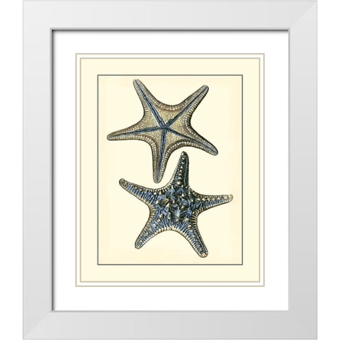 Antique Blue Starfish II White Modern Wood Framed Art Print with Double Matting by Vision Studio