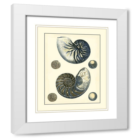 Antique Blue Nautilus White Modern Wood Framed Art Print with Double Matting by Vision Studio