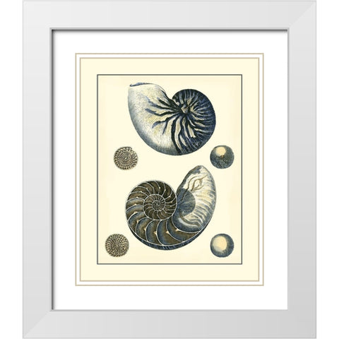 Antique Blue Nautilus White Modern Wood Framed Art Print with Double Matting by Vision Studio