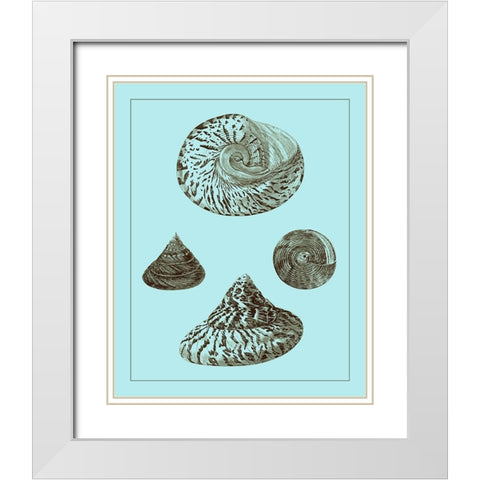 Tinted Shells on Aqua IV White Modern Wood Framed Art Print with Double Matting by Vision Studio