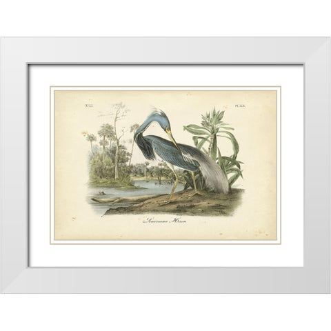Audubons Louisiana Heron White Modern Wood Framed Art Print with Double Matting by Audubon, John James