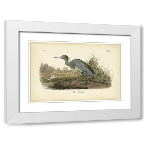 Audubons Blue Heron White Modern Wood Framed Art Print with Double Matting by Audubon, John James