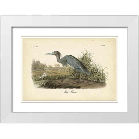 Audubons Blue Heron White Modern Wood Framed Art Print with Double Matting by Audubon, John James