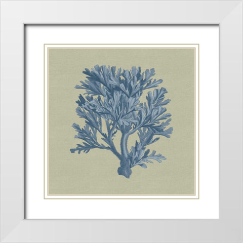 Chambray Coral IV White Modern Wood Framed Art Print with Double Matting by Vision Studio