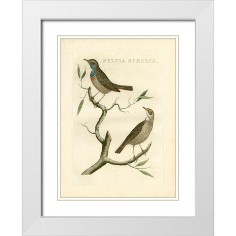 Nozeman Birds II White Modern Wood Framed Art Print with Double Matting by Nozeman