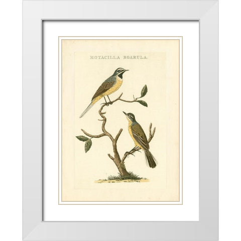 Nozeman Birds III White Modern Wood Framed Art Print with Double Matting by Nozeman