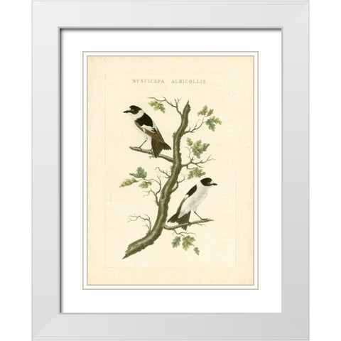 Nozeman Birds IV White Modern Wood Framed Art Print with Double Matting by Nozeman
