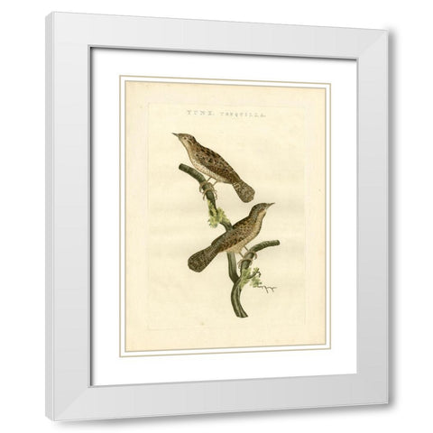 Nozeman Birds V White Modern Wood Framed Art Print with Double Matting by Nozeman