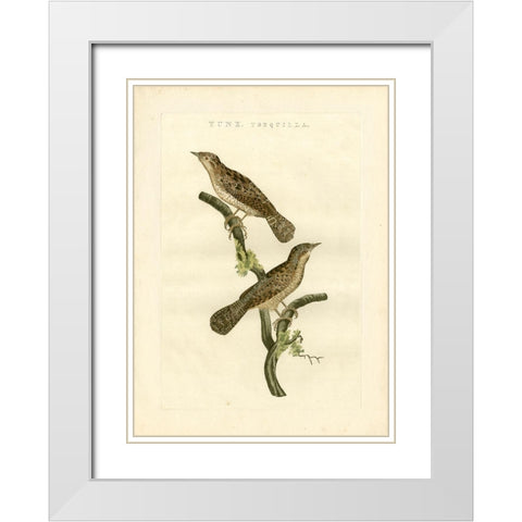 Nozeman Birds V White Modern Wood Framed Art Print with Double Matting by Nozeman