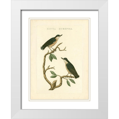 Nozeman Birds VI White Modern Wood Framed Art Print with Double Matting by Nozeman