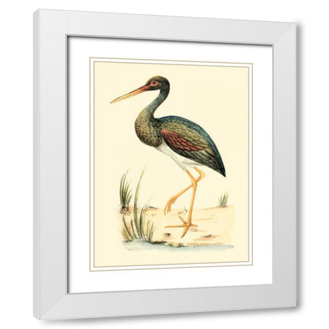 Water Birds II White Modern Wood Framed Art Print with Double Matting by Meyer, H.L.