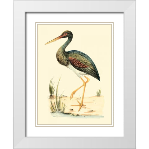Water Birds II White Modern Wood Framed Art Print with Double Matting by Meyer, H.L.