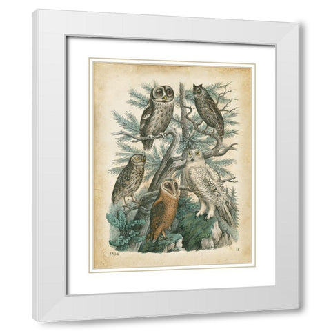 Natures Gathering III White Modern Wood Framed Art Print with Double Matting by Wiek, John