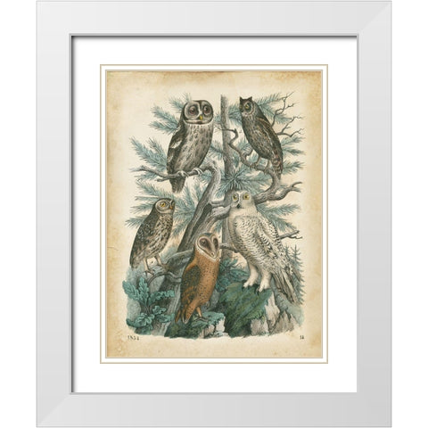 Natures Gathering III White Modern Wood Framed Art Print with Double Matting by Wiek, John