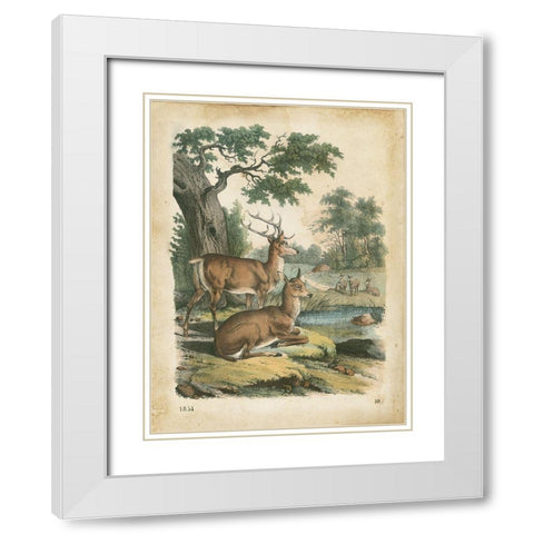 Natures Gathering IV White Modern Wood Framed Art Print with Double Matting by Wiek, John