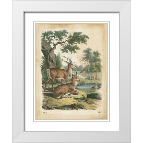 Natures Gathering IV White Modern Wood Framed Art Print with Double Matting by Wiek, John