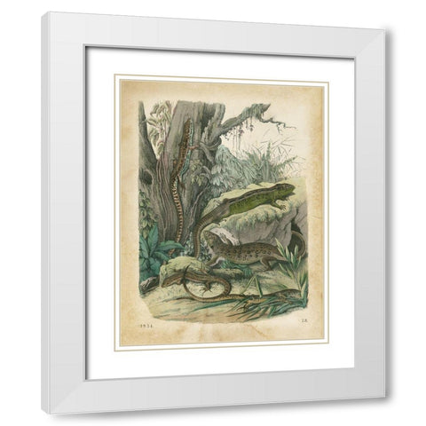 Natures Gathering V White Modern Wood Framed Art Print with Double Matting by Wiek, John